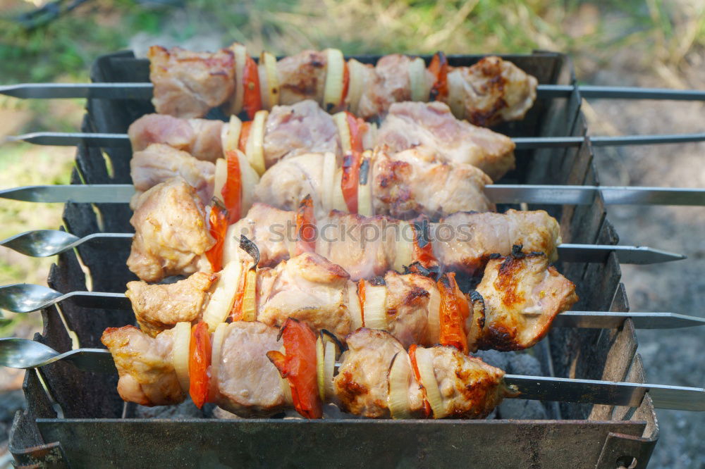 Similar – Image, Stock Photo some chicken?! Chicken