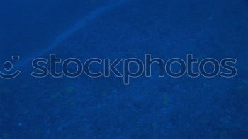 Similar – Image, Stock Photo Water quality 1A Hand