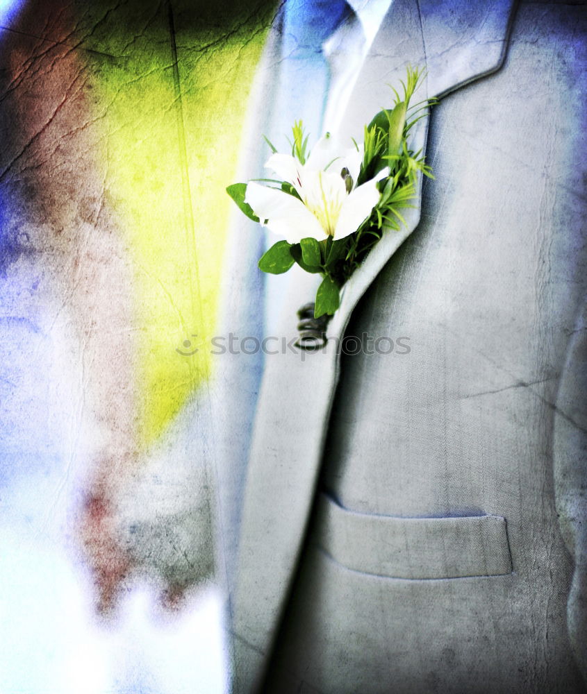 Similar – Image, Stock Photo groom Flower Rose Fashion