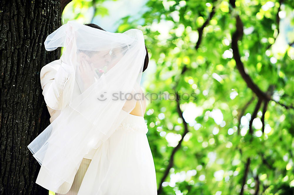 Similar – Image, Stock Photo shirt Garden Garden plot