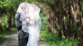 Similar – Hochzeit Glück Ferne