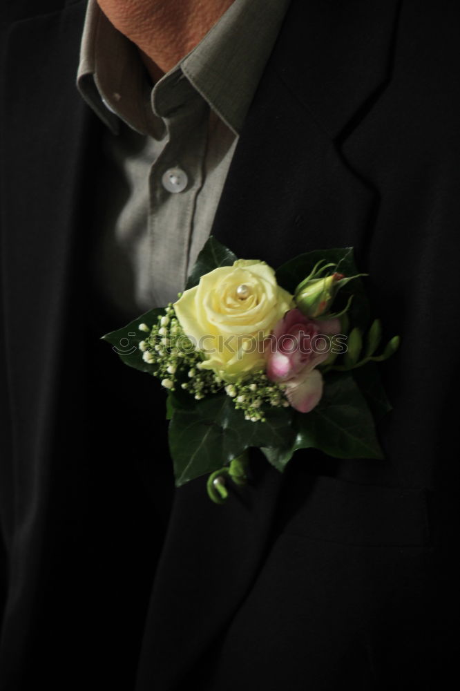 Image, Stock Photo groom Flower Rose Fashion