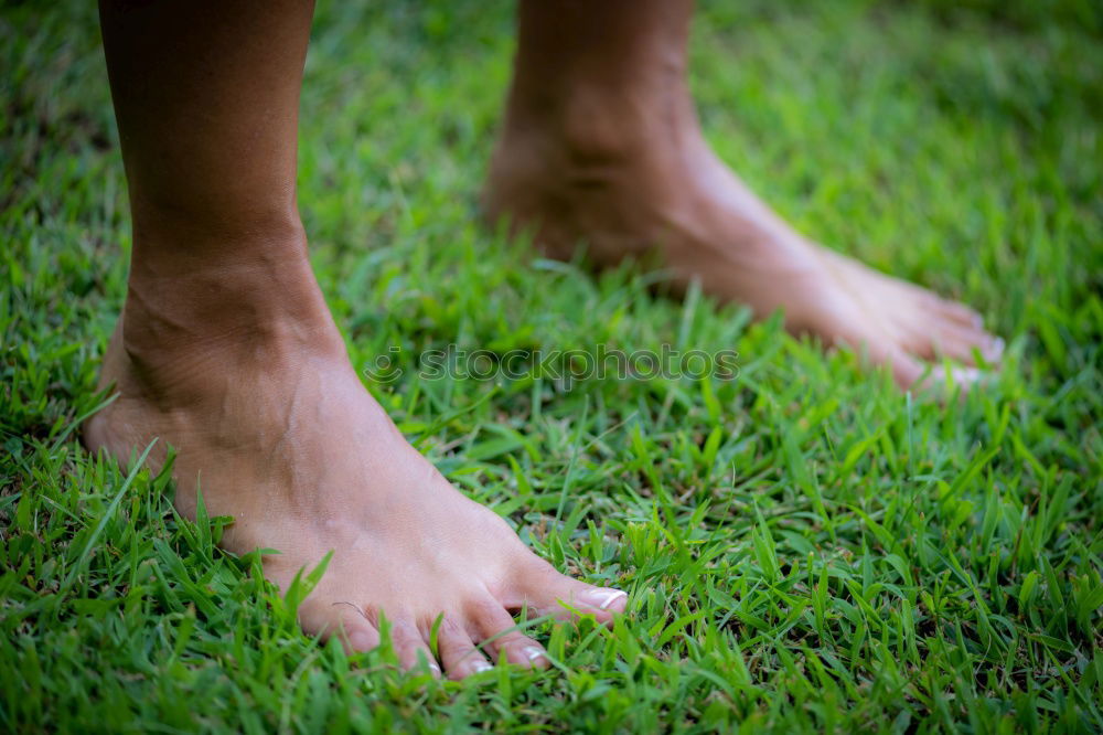 Similar – Feet barefoot in the meadow