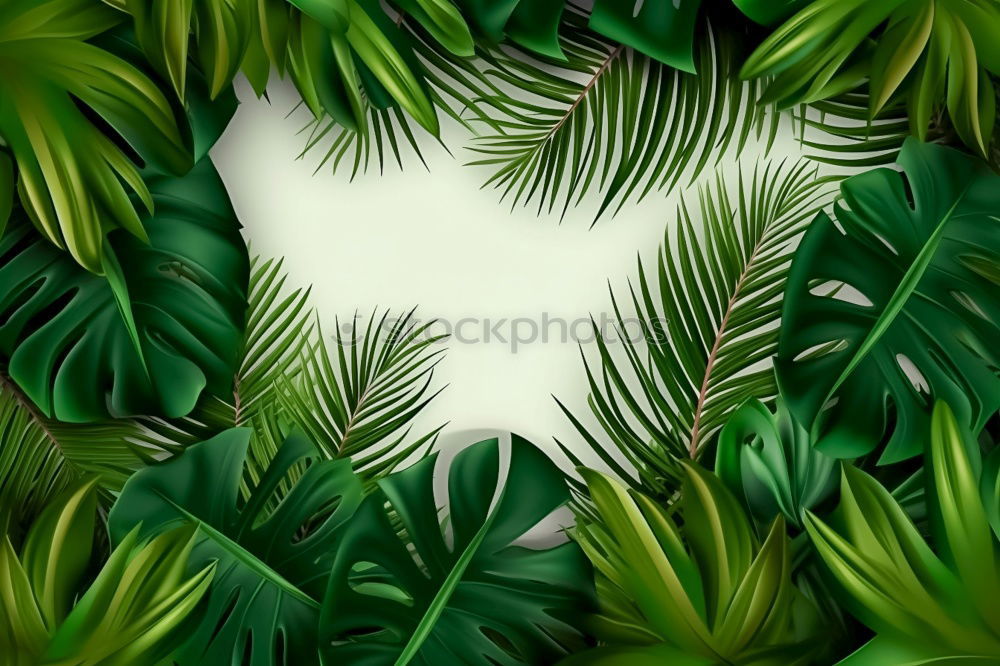 Similar – Image, Stock Photo green plant leaves Plant