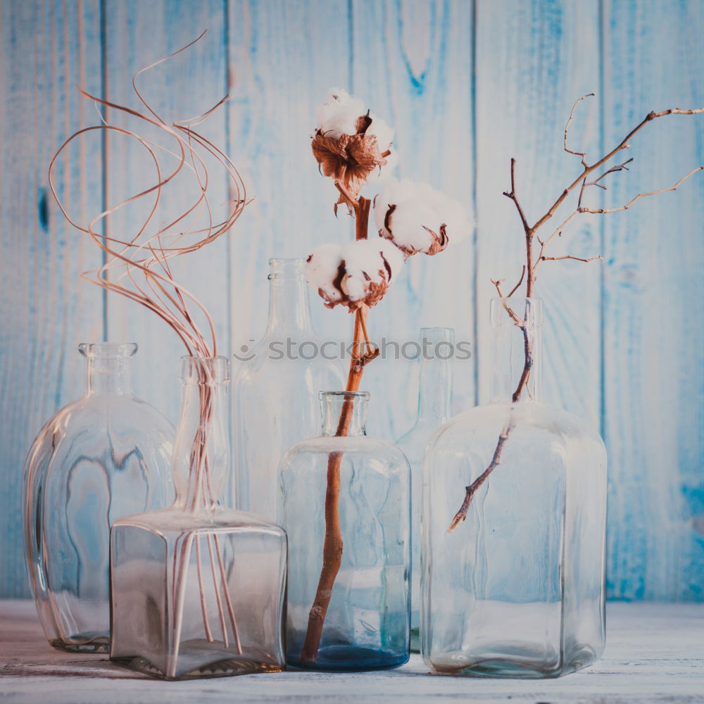 Similar – Cup of herbal tea on a dark background