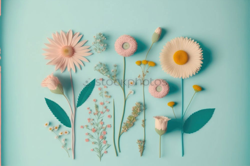 Similar – Image, Stock Photo daisy flower plant petals
