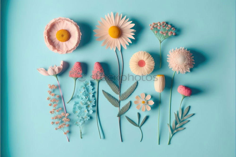 Similar – Image, Stock Photo bouquet of pink carnations with a paper tag