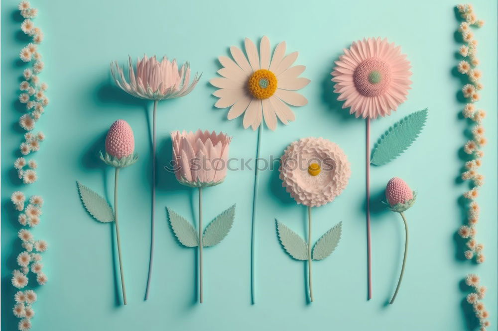 Similar – Image, Stock Photo daisy flower plant petals