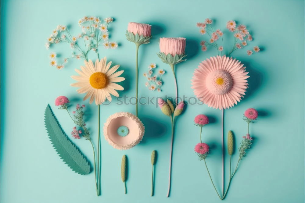 Similar – Image, Stock Photo Floral frame with flowers and petals
