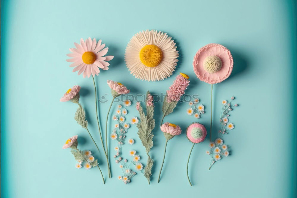 Similar – Beautiful garden flowers and gardening tools in Shabby Chic Style