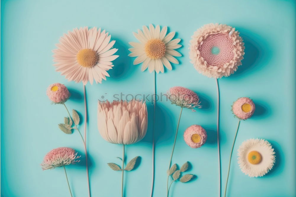 Similar – Beautiful flowers on turquoise background .