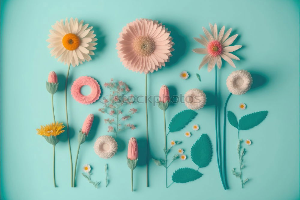 Similar – Image, Stock Photo Floral frame with flowers and petals