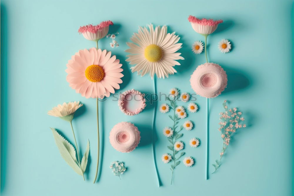 Similar – Beautiful garden flowers and gardening tools in Shabby Chic Style