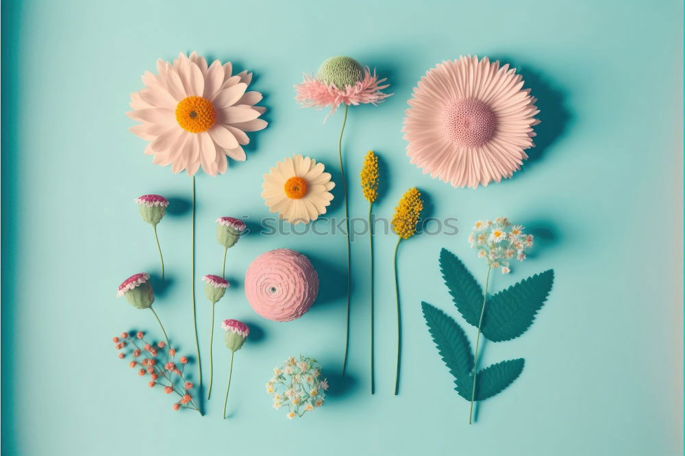 Similar – Female hands make autumn flowers decoration