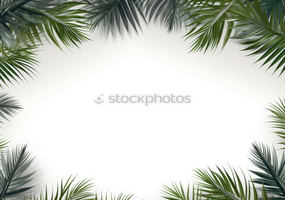 Similar – Image, Stock Photo vinegar tree