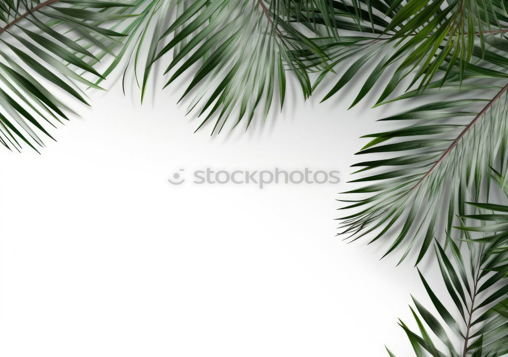 Similar – Image, Stock Photo Vacation. Environment