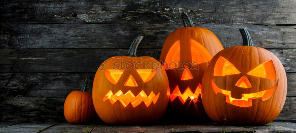 Similar – Image, Stock Photo Pumpkins in a Halloween night