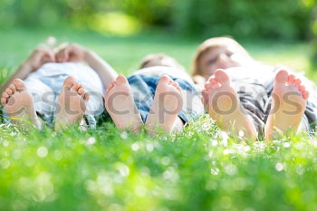 Similar – Image, Stock Photo Picnic in the sun Happy