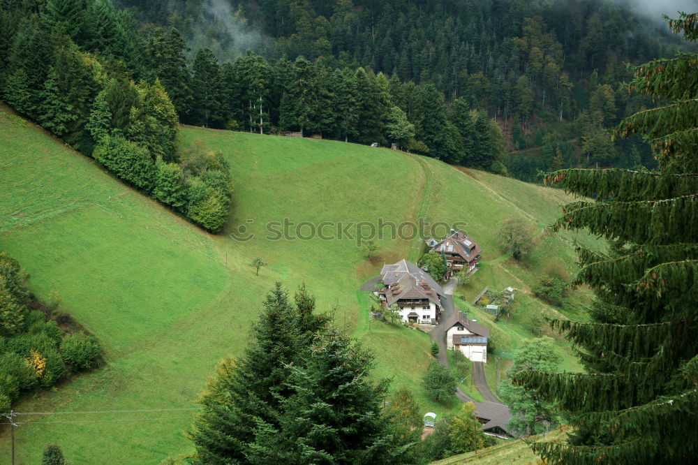 Similar – Image, Stock Photo look down Nature Sunlight