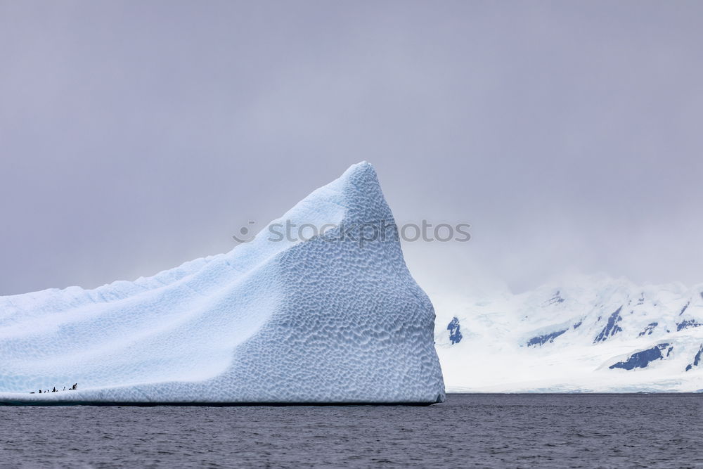 Similar – Snowfall and cruise liner among blue icebergs in Port Charcot