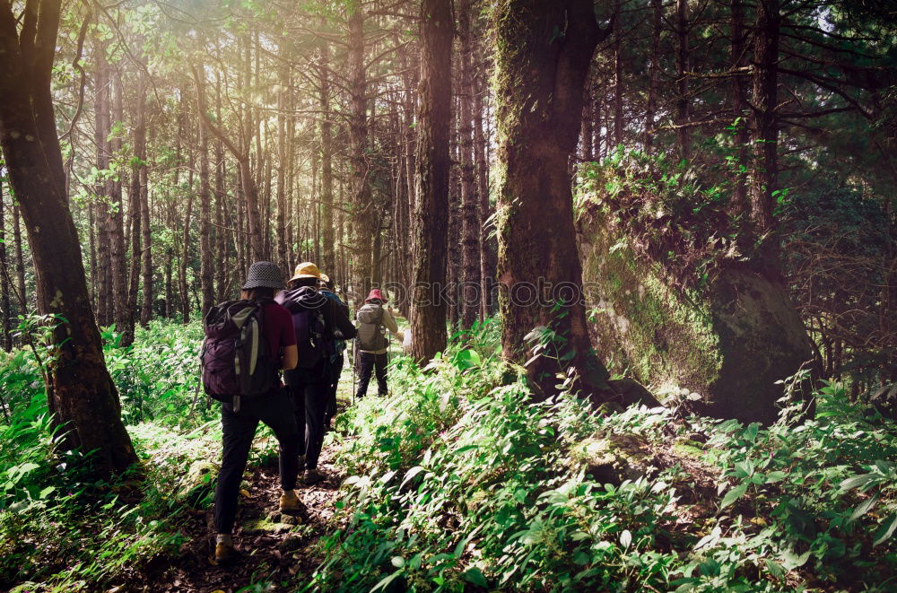 Similar – Image, Stock Photo Man in forest looking into backpack