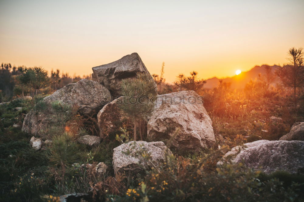 Similar – Image, Stock Photo Îles de Marseille V