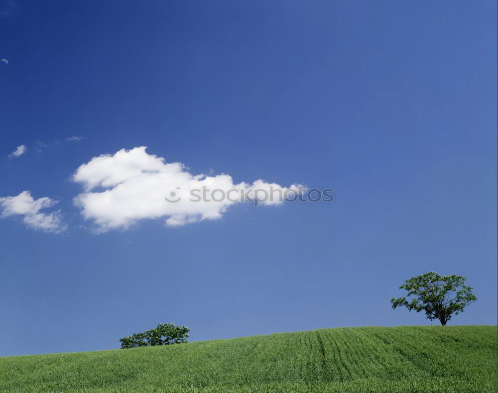 Similar – KLAUS IS POKING THE CLOUDS.