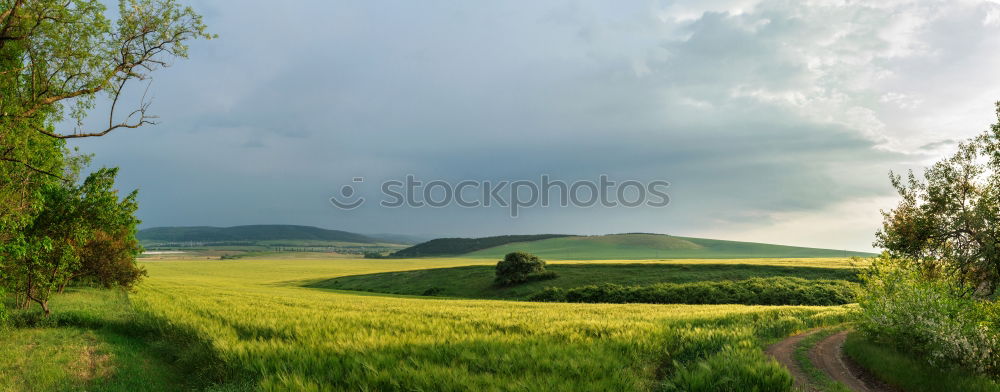 Similar – Image, Stock Photo Beautiful autumn sunny evening panorama. Tatras mountains