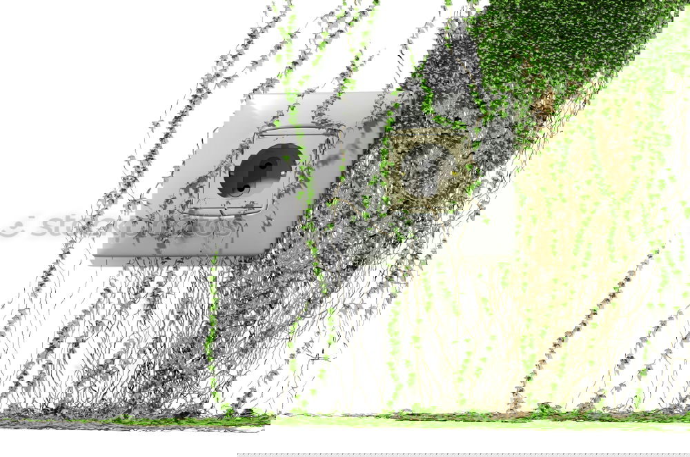 Similar – Image, Stock Photo Clear line Wall (barrier)