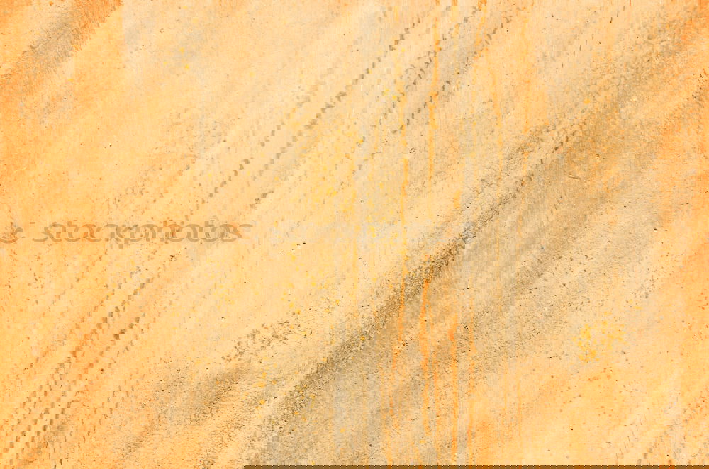 Similar – Foto Bild Vorsichtiger Durchbruch