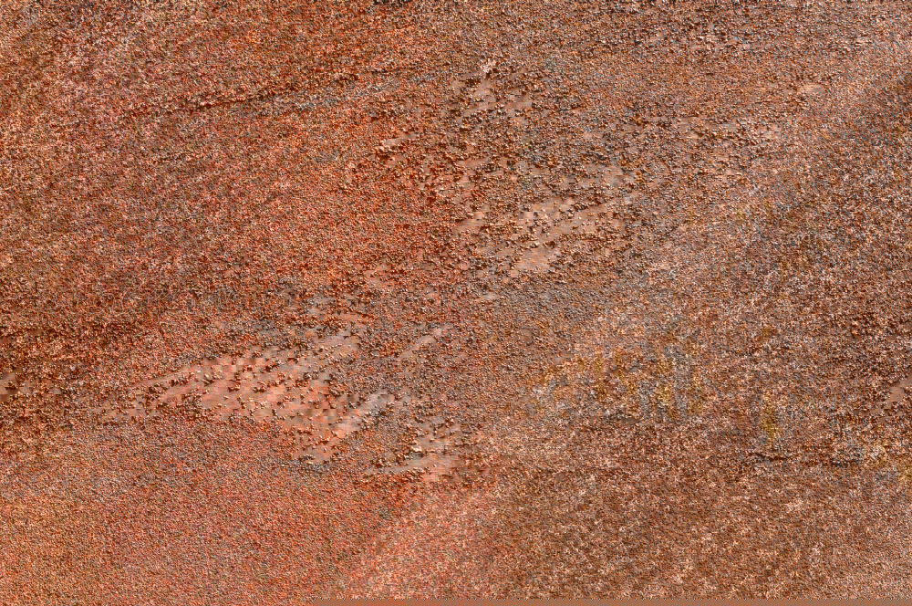 Similar – Foto Bild Uluru Natur Stein