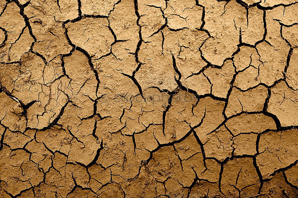 Similar – Texture cracked, dry the surface of the earth.