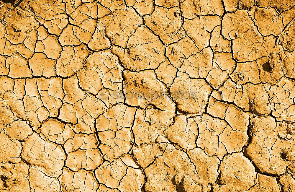 Similar – Texture cracked, dry the surface of the earth.