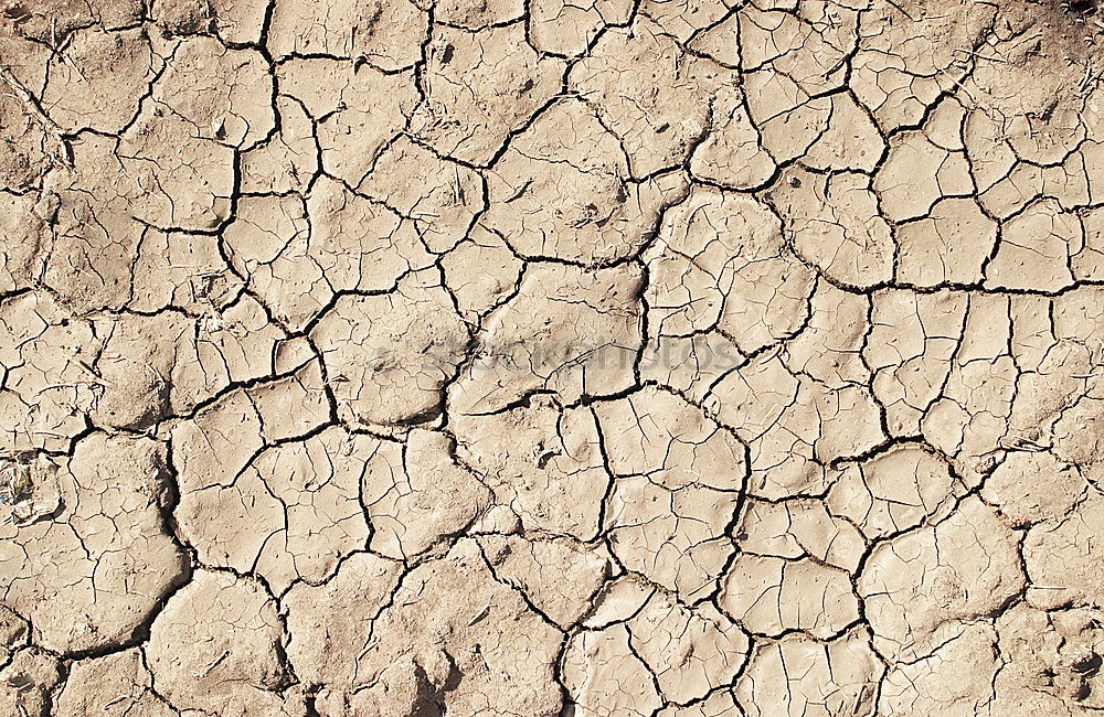 Similar – Image, Stock Photo earth_1 Nature Earth Sand