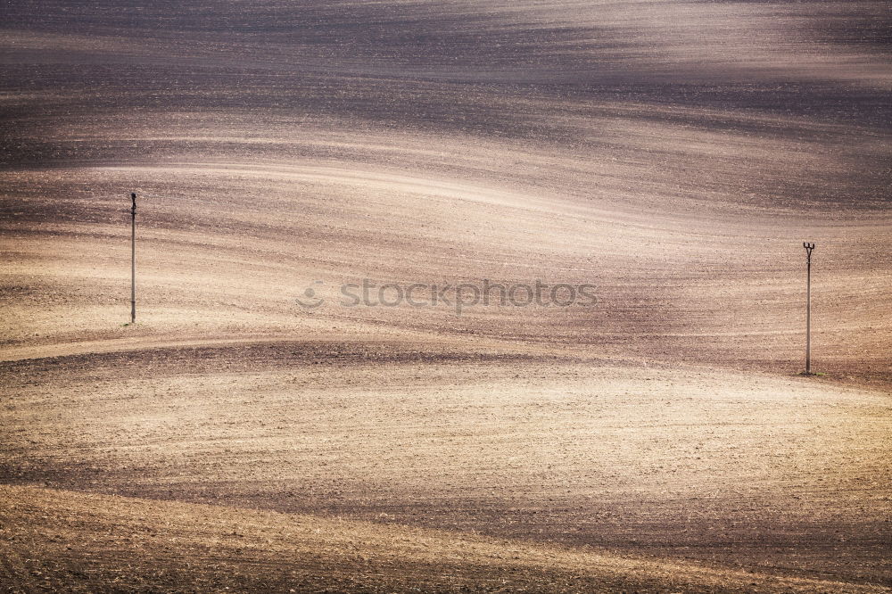 Similar – Tracks on the beach in Portugal III