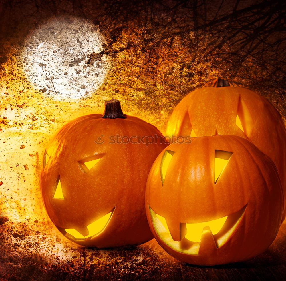 Similar – Image, Stock Photo Pumpkins in a Halloween night