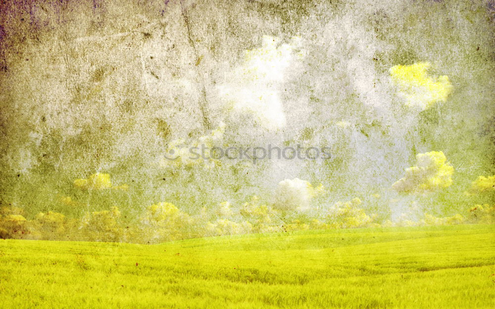 Similar – Image, Stock Photo Wrapped Environment Nature