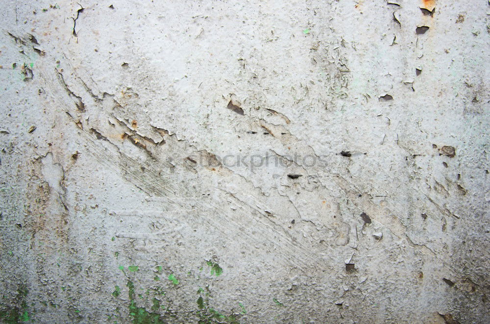 Similar – Image, Stock Photo footprints Drought Plant