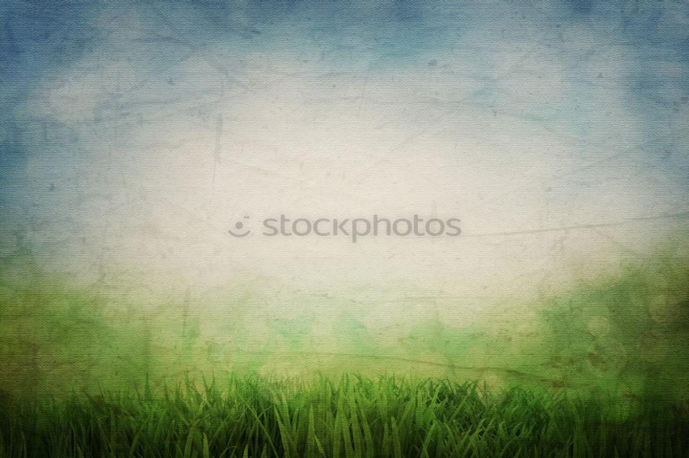 Similar – Image, Stock Photo Mushroom 3 Environment