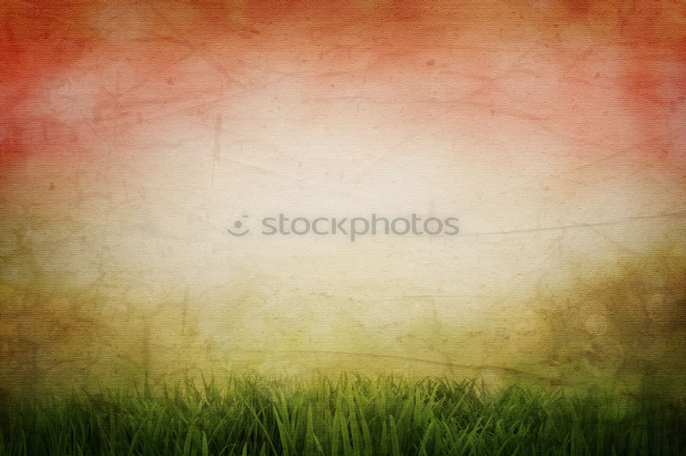 Similar – Image, Stock Photo Almost every road leads to the finish line / In a green field you can see two tire tracks. From left to top with a bend. The background is dark.