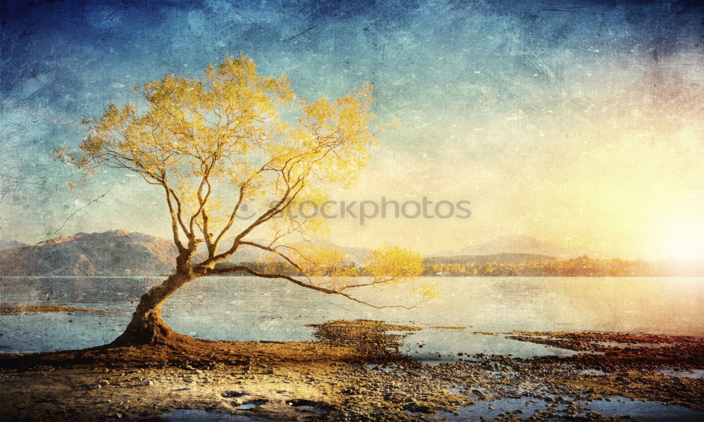 Similar – Image, Stock Photo four elements Environment