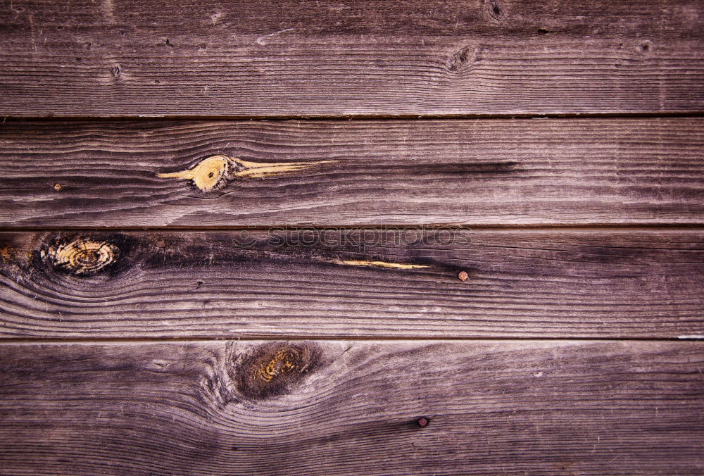 Similar – Image, Stock Photo 3x where the pepper grows