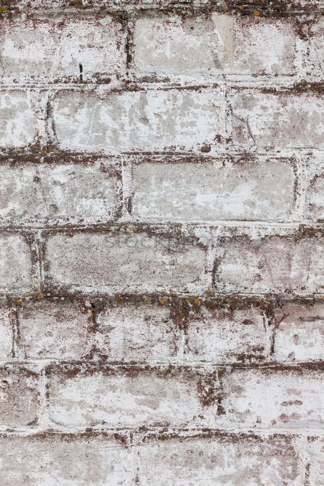 Similar – bricked-up Wall (barrier)