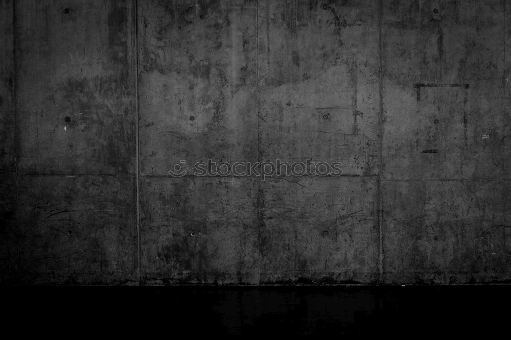 Similar – Foto Bild 1/2 Schuhe weiß Unterleib
