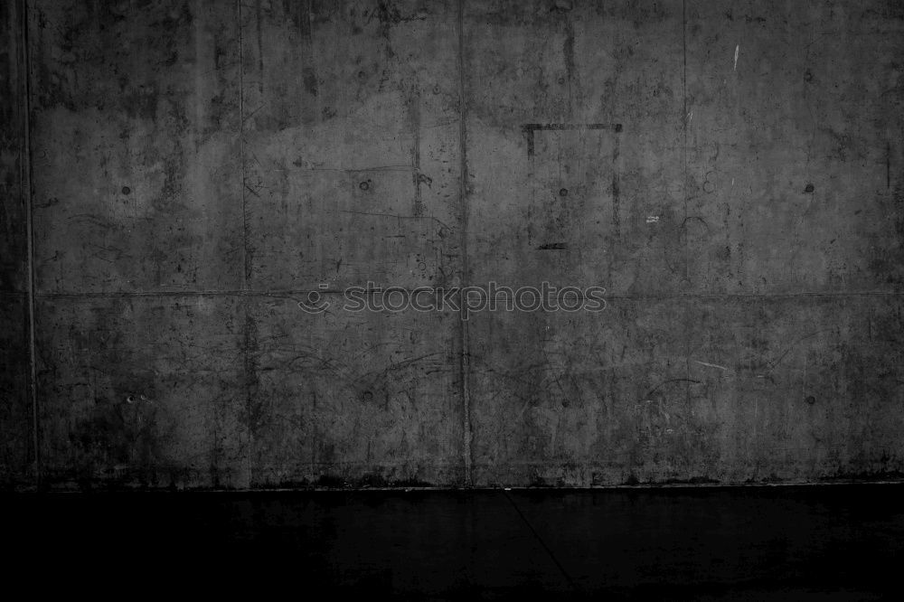Similar – Foto Bild 1/2 Schuhe weiß Unterleib
