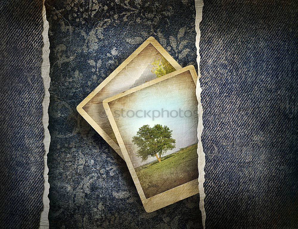 Similar – Image, Stock Photo autumn picture Leaf Autumn