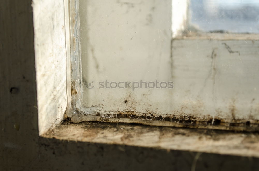 Similar – Image, Stock Photo A ray of hope. Sunlight