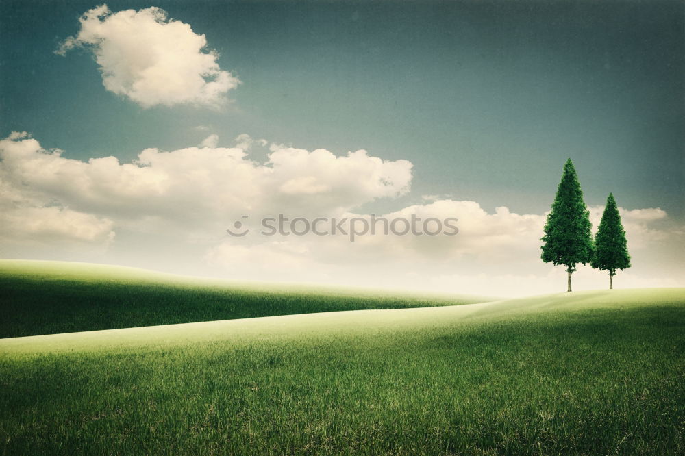 Similar – Image, Stock Photo ponder Tree Clouds