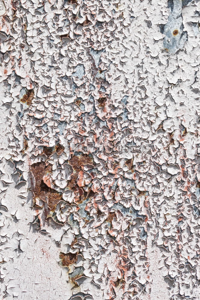 Similar – Image, Stock Photo fossil Metal Old To dry up