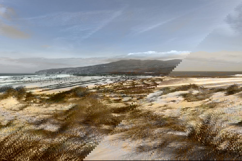 Similar – Foto Bild Weitblick Strand Meer